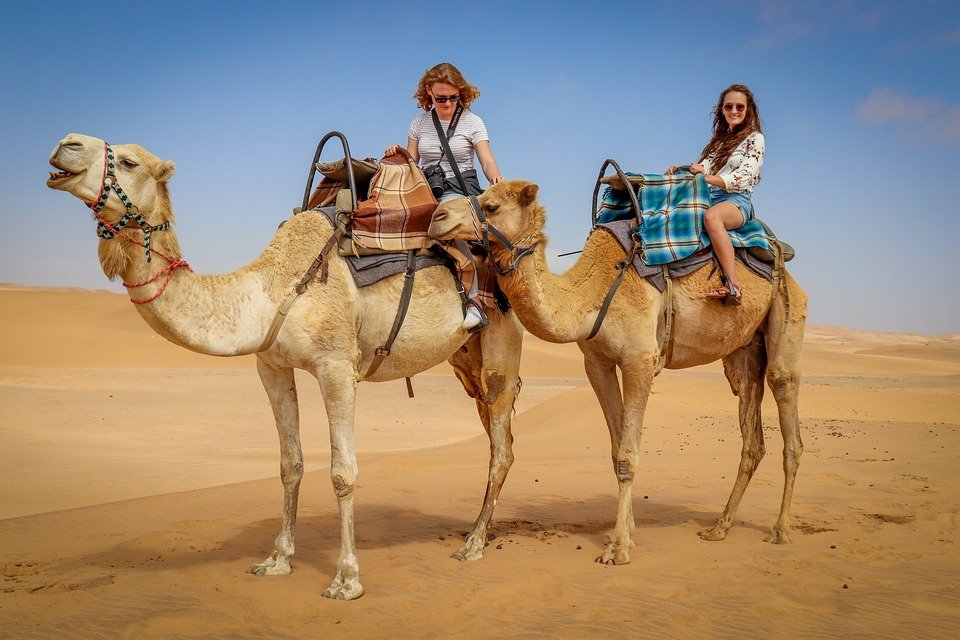 Thar Desert, Rajsathan, India: localhi