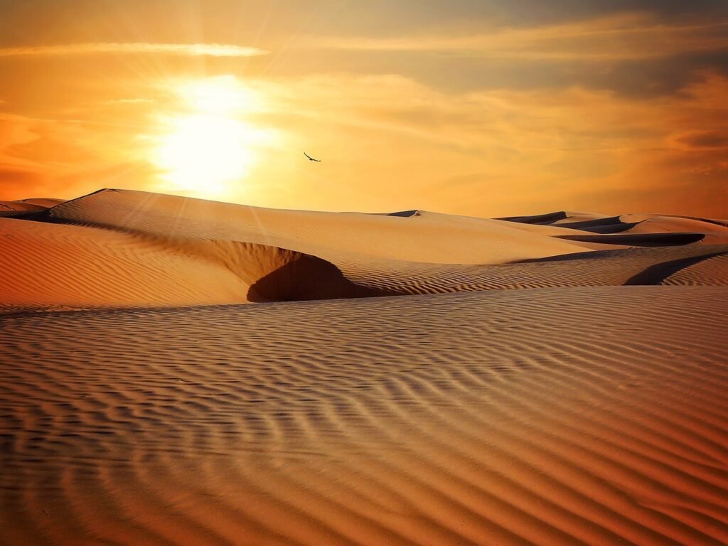 Thar Desert, Rajasthan, India: localhi