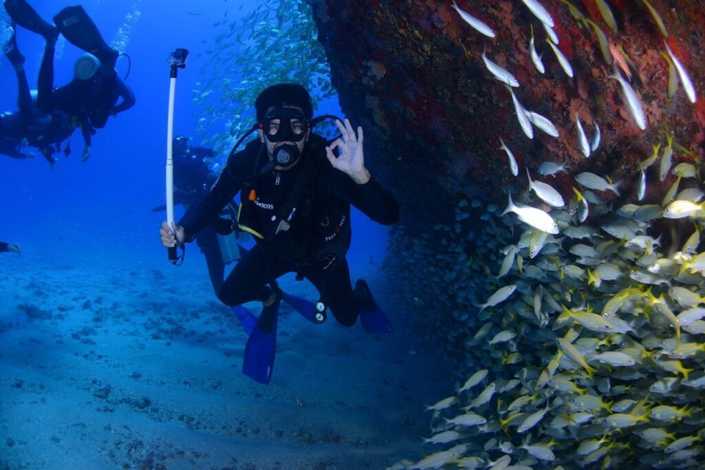 Koh Tao, Scuba Diving, Thailand: localhi