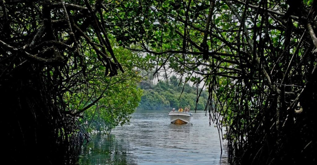 Madu River, Sri Lanka: localhi