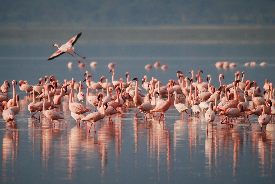 River Safari, Fishing, Sri Lanka: localhi