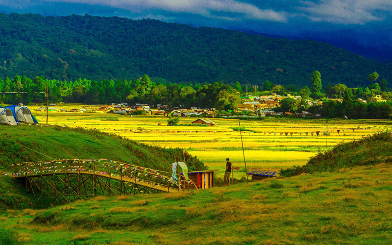 Ziro Valley, India : localhi