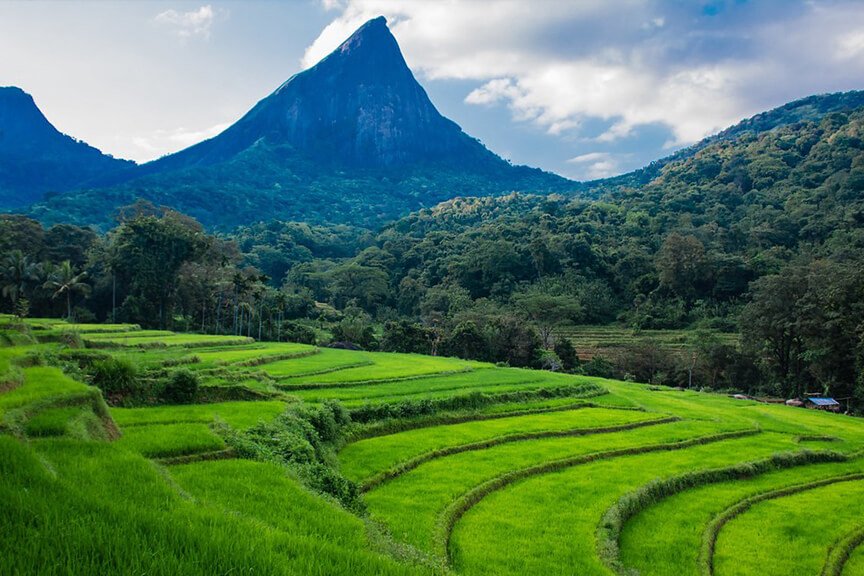 Villages, Sri Lanka: localhi