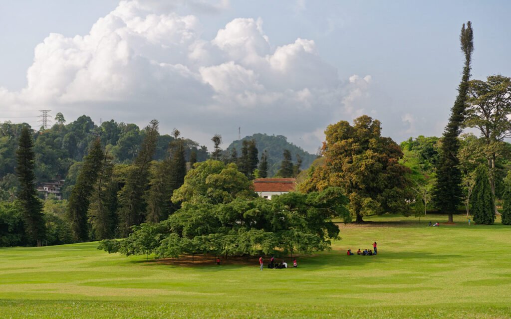 Royal Gardens, Botanical,  Sri Lanka: localhi